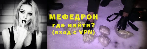 ГАЛЛЮЦИНОГЕННЫЕ ГРИБЫ Дмитриев