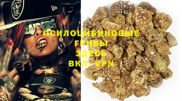 скорость Нея
