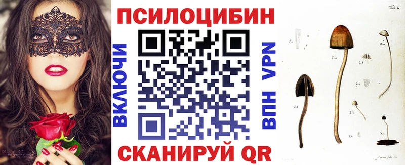 Псилоцибиновые грибы MAGIC MUSHROOMS  ОМГ ОМГ tor  Нюрба 